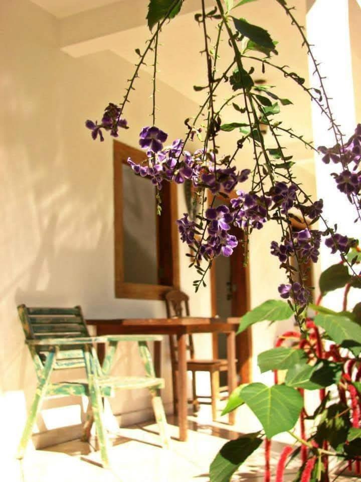 Pousada Villa Da Gama Παρατί Δωμάτιο φωτογραφία