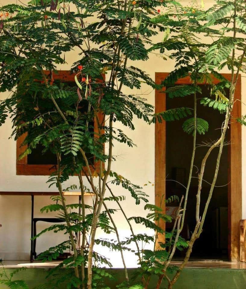 Pousada Villa Da Gama Παρατί Δωμάτιο φωτογραφία