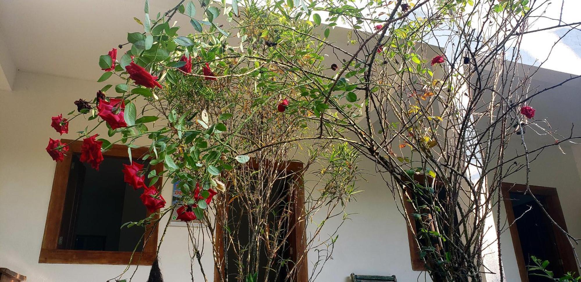 Pousada Villa Da Gama Παρατί Δωμάτιο φωτογραφία